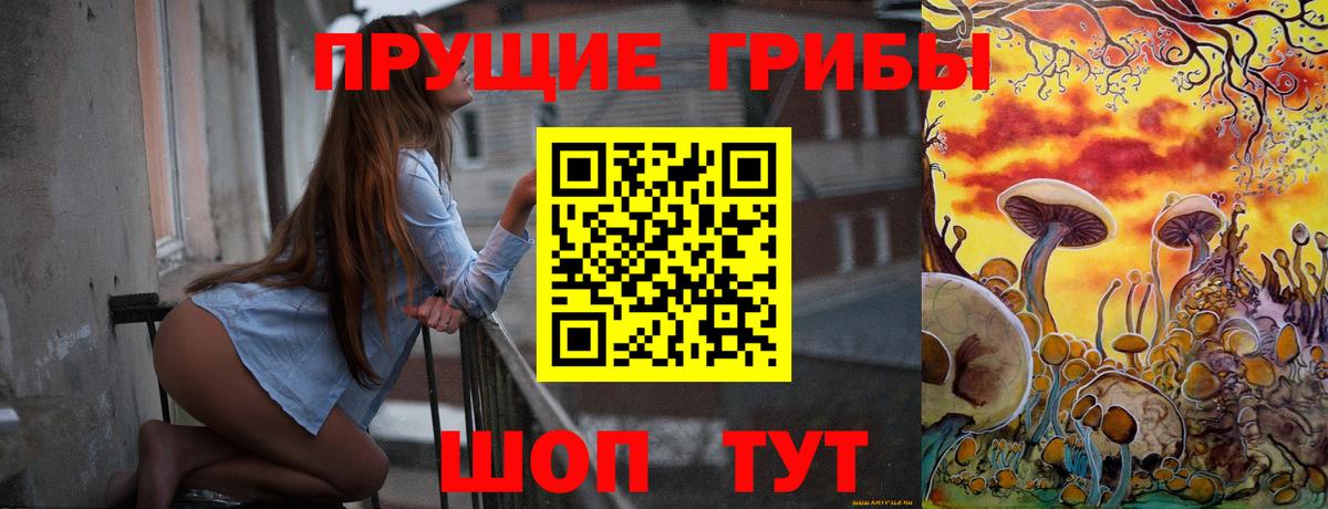 Галлюциногенные грибы Psilocybine cubensis  Вход с VPN  Каменск-Уральский 